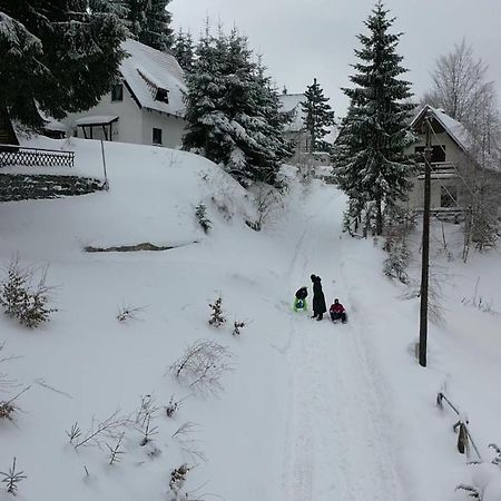 Vila Leni Копаоник Экстерьер фото
